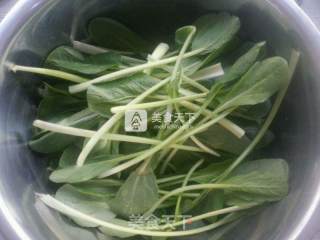番茄排骨面的做法步骤：15