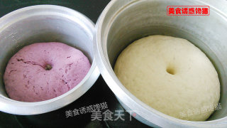 宝葫芦包子的做法步骤：4