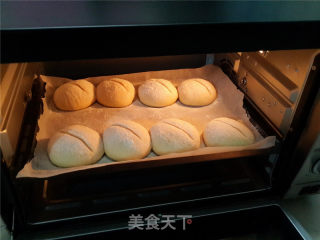 欧式胚芽面包的做法步骤：9