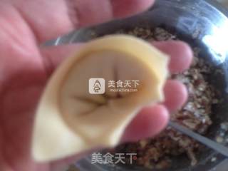 香菇鸡肉馄饨的做法步骤：13