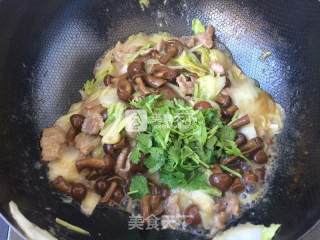肉炒白菜滑子蘑的做法步骤：12