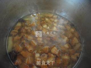 猪肉炖粉条的做法步骤：9