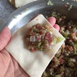 佛手瓜鲜虾猪肉馄饨的做法步骤：9