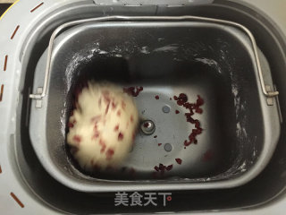蔓越莓奶酪餐包的做法步骤：6
