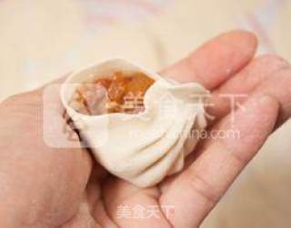 【鲜肉汤包】-- 一口汤汁饱满的做法步骤：11