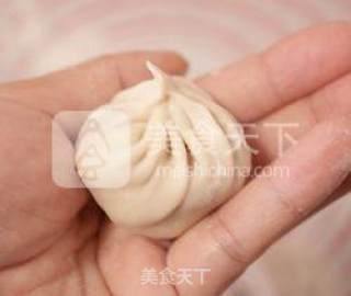 【鲜肉汤包】-- 一口汤汁饱满的做法步骤：12