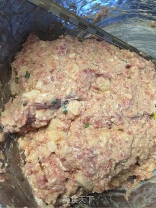 藕丁猪肉豆腐包子的做法步骤：9