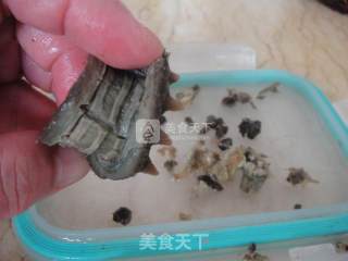 海参蛤蜊炖蛋的做法步骤：2
