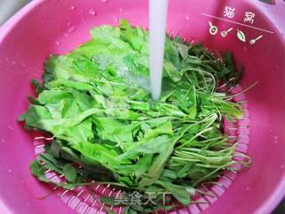 荠菜瘦肉粥的做法步骤：2