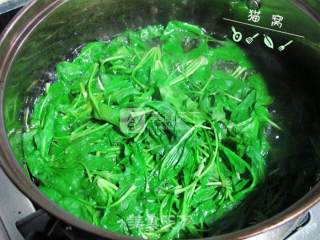 荠菜瘦肉粥的做法步骤：4