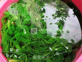 荠菜瘦肉粥的做法步骤：5