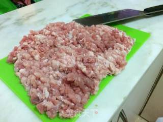 仿奶奶的肉丸子的做法步骤：1