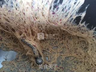 玫瑰花吐司的做法步骤：4