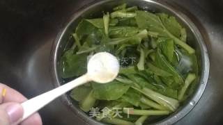 蒜蓉炒菜芯的做法步骤：2