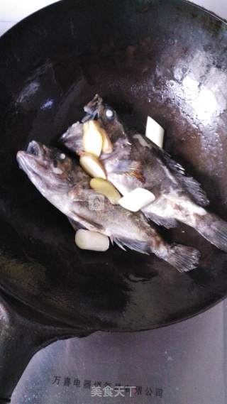 奶白黑鱼汤的做法步骤：4