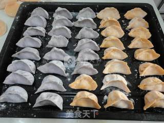 立冬之彩色饺子的做法步骤：5