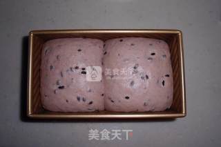 黑米吐司的做法步骤：9