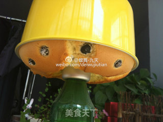 蓝莓戚风蛋糕by：普蓝高科蓝莓美食特约撰稿人的做法步骤：9