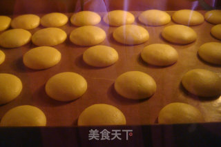 蛋黄饼干的做法步骤：9