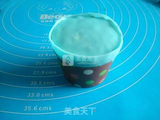 玫瑰花翻糖蛋糕的做法步骤：18