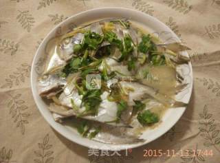 家常炖鲳鱼的做法步骤：8