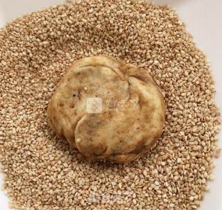 麻酱芝麻烧饼的做法步骤：15