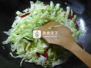 牛肚炒圆白菜的做法步骤：5