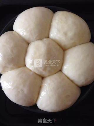 超柔软杏仁餐包的做法步骤：5