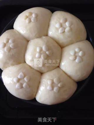 超柔软杏仁餐包的做法步骤：6