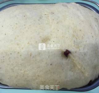全麦面包的做法步骤：3