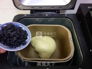 黑加仑葡萄干小餐包的做法步骤：7