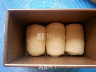 酸奶红枣土司的做法步骤：13
