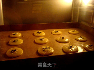 桃酥饼干（零失败无黄油版）的做法步骤：11
