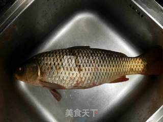 姜葱焖鲤鱼的做法步骤：1