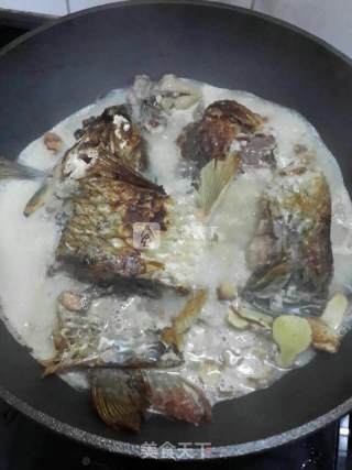 姜葱焖鲤鱼的做法步骤：8