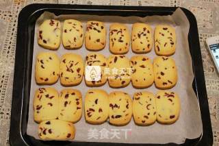 蔓越莓饼干的做法步骤：12