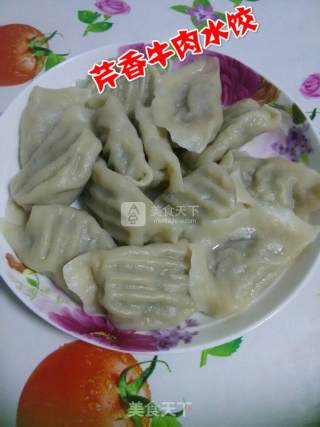 芹菜牛肉水饺儿的做法步骤：5