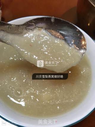 川贝炖雪梨燕窝的做法步骤：4