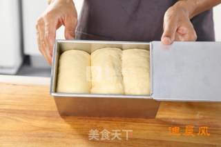 原味吐司的做法步骤：8