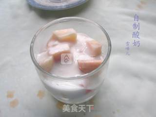自制桑葚酸奶的做法步骤：6