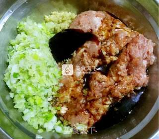 荸荠水饺的做法步骤：10