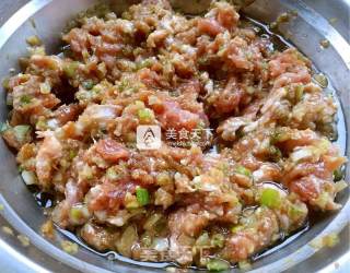 荸荠水饺的做法步骤：20