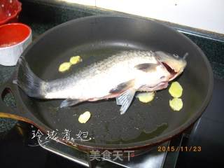 鲫鱼萝卜汤的做法步骤：3