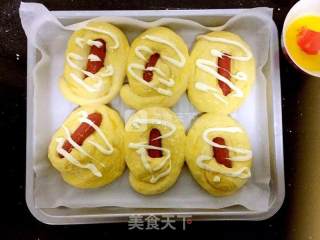 小麦胚芽热狗面包的做法步骤：10
