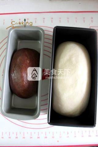 可可双色吐司的做法步骤：7
