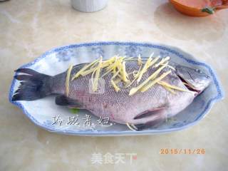 清蒸珍珠斑的做法步骤：3