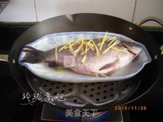 清蒸珍珠斑的做法步骤：4
