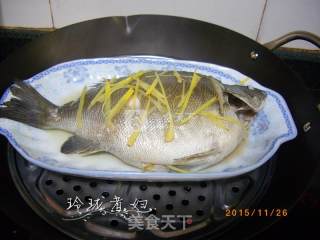 清蒸珍珠斑的做法步骤：5