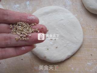 原味芝麻饼的做法步骤：6