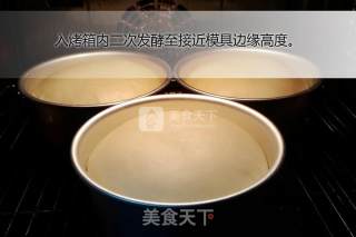 时下最火热的乳酪面包的做法步骤：6